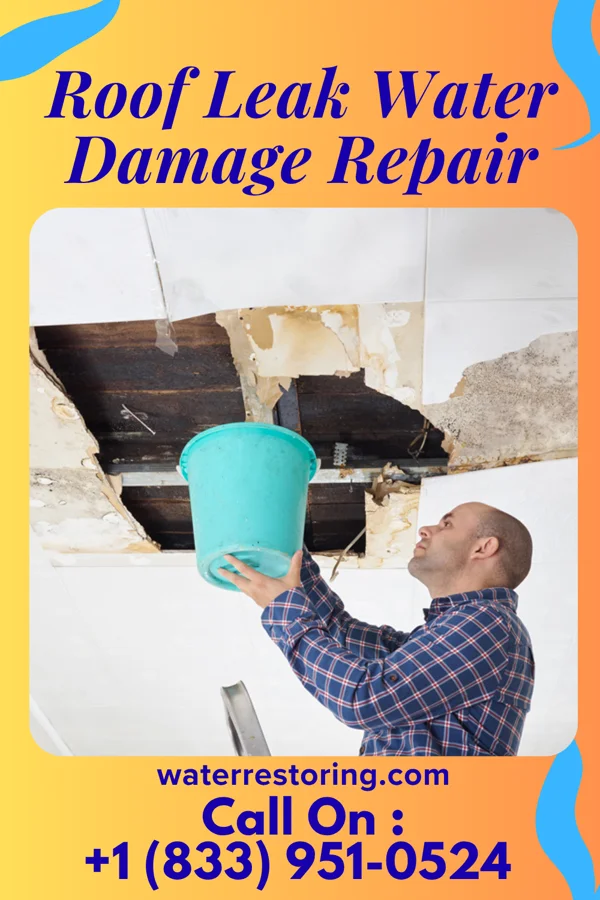 Roof Leak Water Damage Repair in Olivet, SD