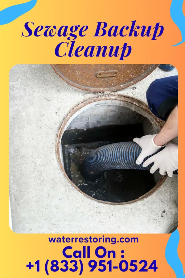 Sewage Backup Cleanup in Olivet, SD